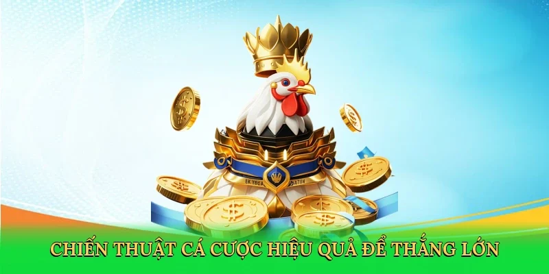 Chiến thuật cá cược hiệu quả để thắng lớn