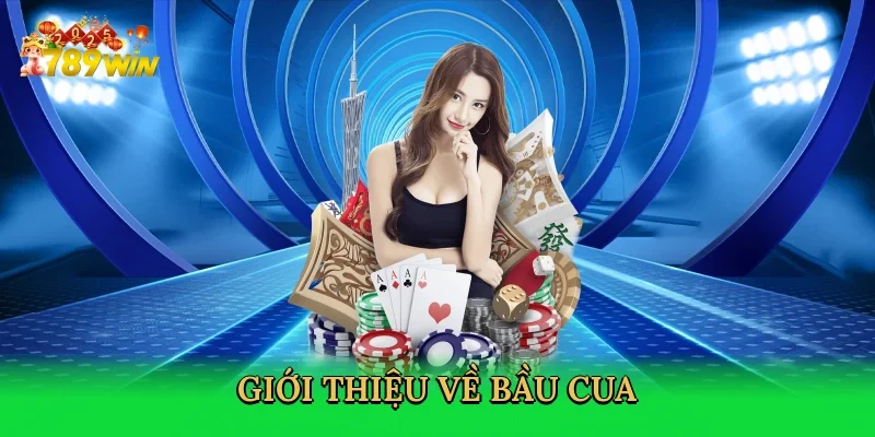gioi-thieu-ve-bau-cua-2