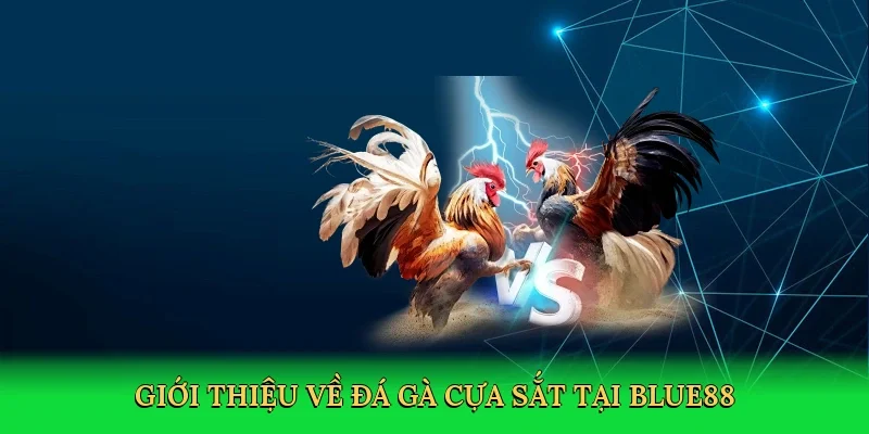 Giới thiệu về Đá gà cựa sắt tại BLUE88