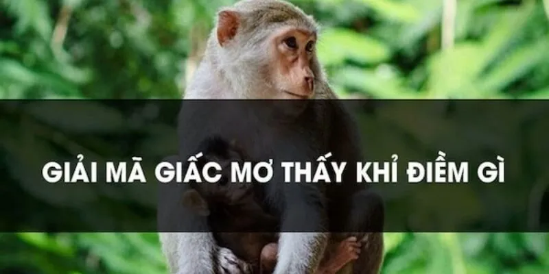 Những giấc mơ đặc biệt khác liên quan đến khỉ và con số gợi ý