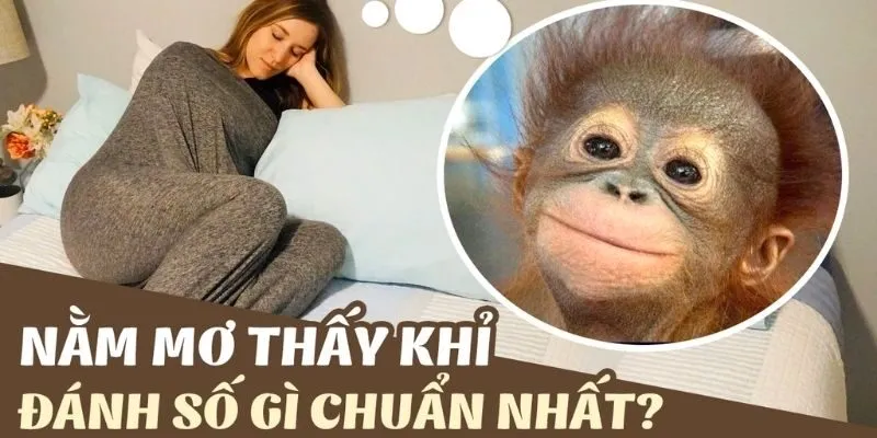 Nằm Mơ Thấy Khỉ Đánh Số Gì? Giải Mã Giấc Mộng Lạ Cùng Sky88