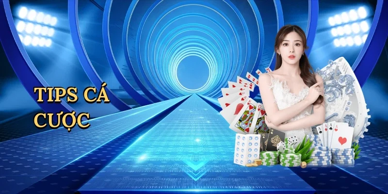 Tips cá cược