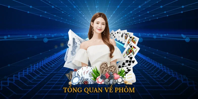 tong-quan-ve-phom-1