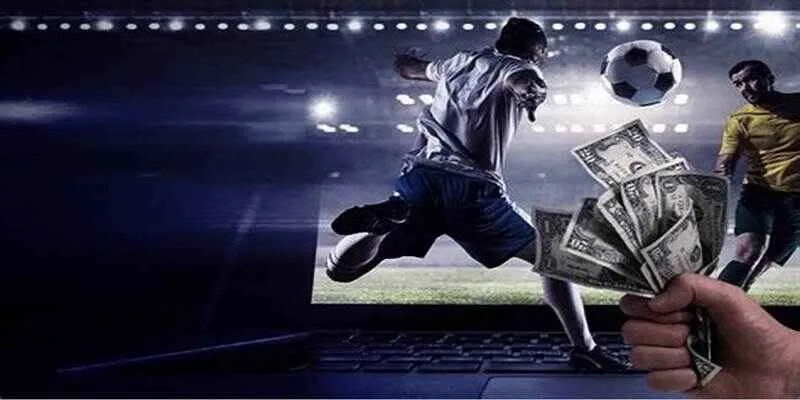 Website hàng đầu trong năm nay