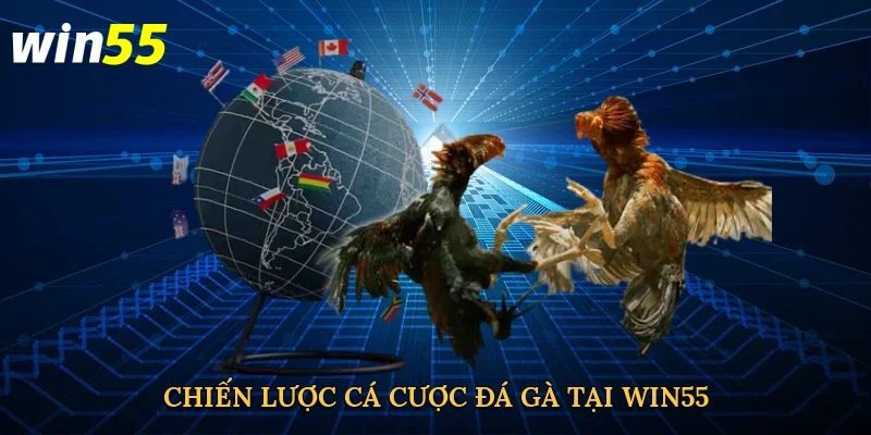chien-luoc-ca-cuoc-da-ga-tai-win55-4