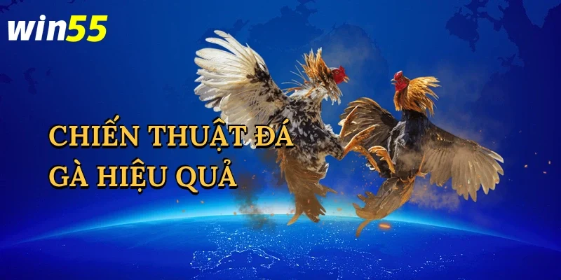 chien-thuat-da-ga-hieu-qua-1