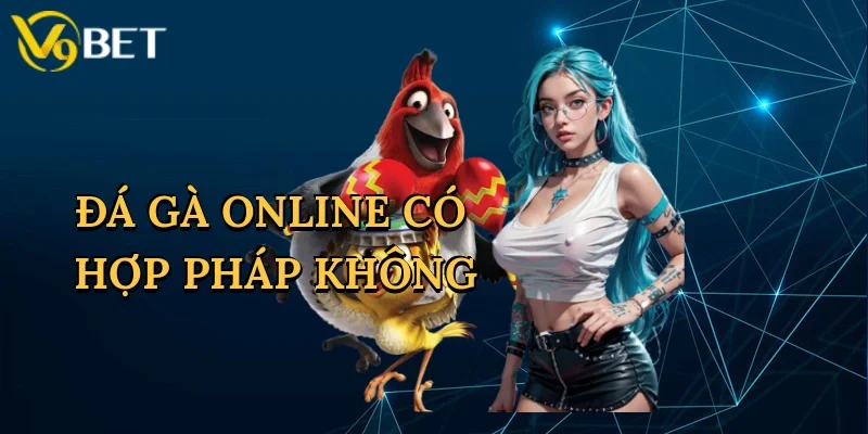 Đá Gà Online Có Hợp Pháp Không