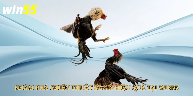 kham-pha-chien-thuat-da-ga-hieu-qua-tai-win55-2